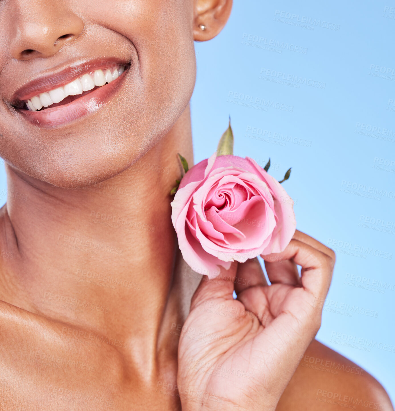 Buy stock photo Woman with rose, closeup and natural beauty with sustainable skincare isolated on blue background. Wellness, skin glow and eco friendly cosmetics with pink flower, product and nature in a studio