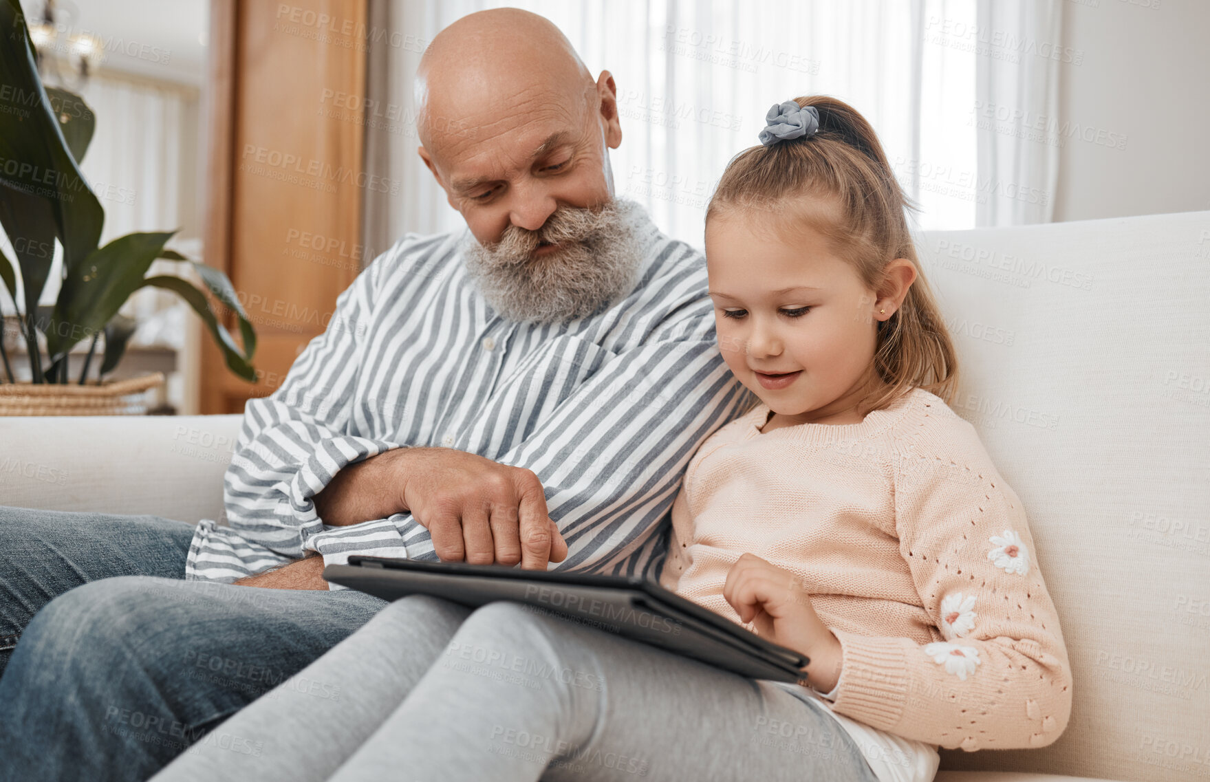 Buy stock photo Grandfather, tablet or child elearning for education, skills development or knowledge in online class. Tech, grandfather or young girl student learning course on website or social media at home