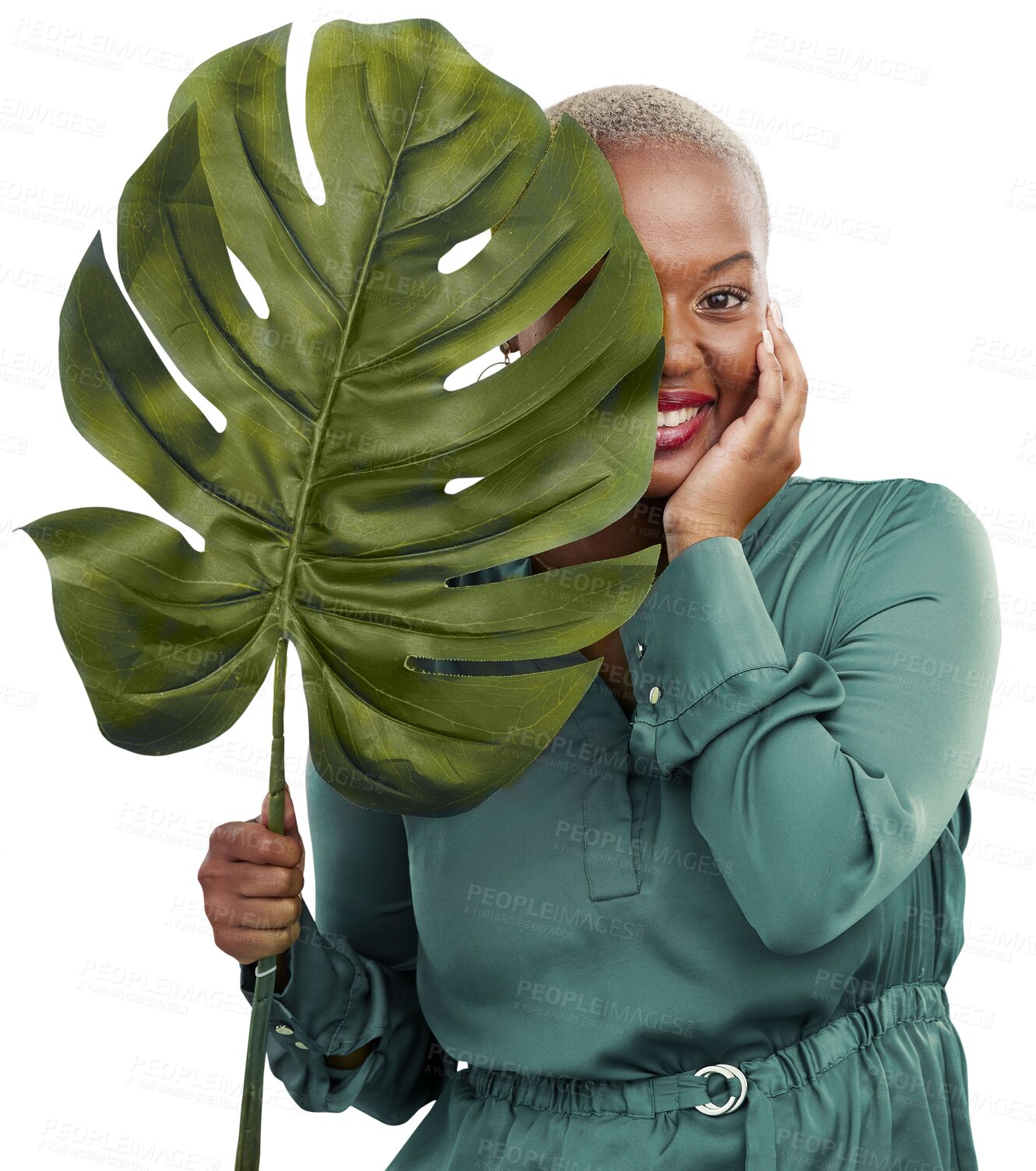 Buy stock photo Green leaf, portrait and woman with sustainability, eco friendly and natural beauty. African female person, happy and smile with plants and monstera growth isolated on a transparent, png background