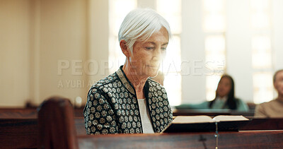 Worship, reading book or old woman in church for God, holy spirit or religion in cathedral or Christian community. Faith, bible or elderly person praying in chapel studying to praise Jesus Christ