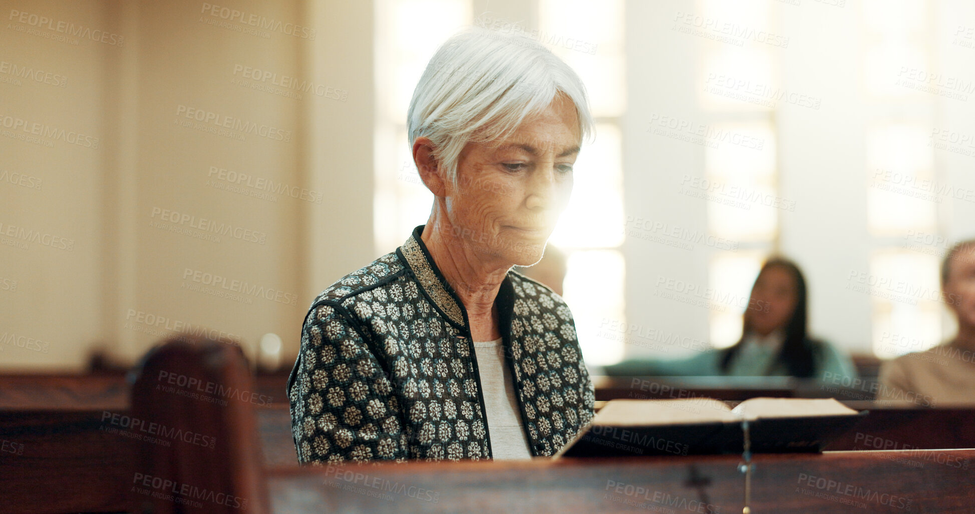 Buy stock photo Worship, reading book or old woman in church for God, holy spirit or religion in cathedral or Christian community. Faith, bible or elderly person praying in chapel studying to praise Jesus Christ