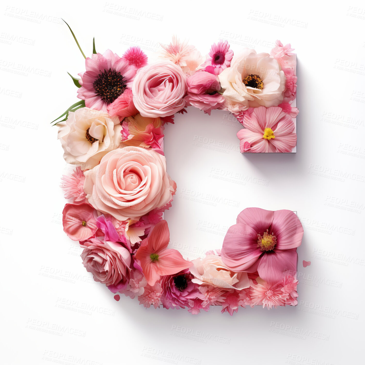 Buy stock photo Colorful alphabet capital letter C made with flowers. Spring summer flower font.