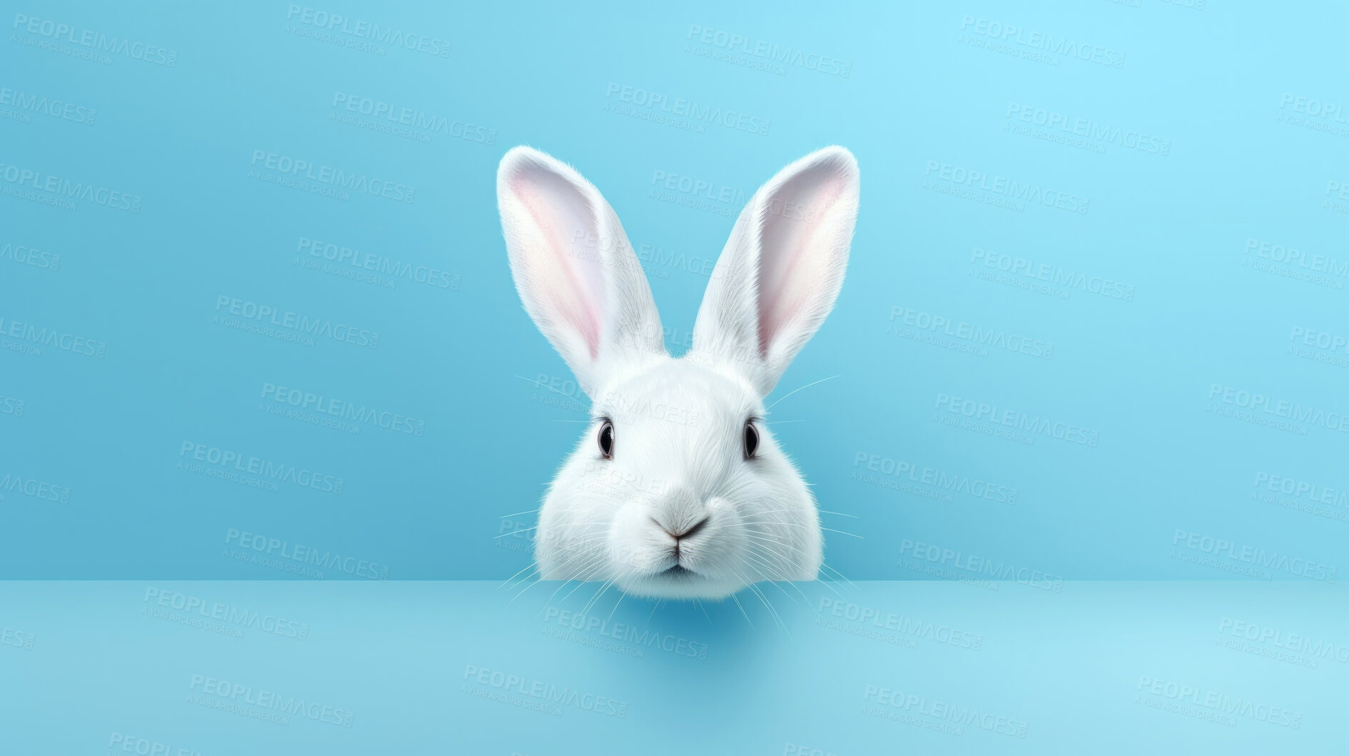 Buy stock photo White bunny on blue copyspace background in studio. Festive Easter concept