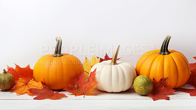 Pumpkins and natural fall decor for Halloween and Thanksgiving. White copyspace background