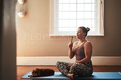 Buy stock photo Shot of a young woman burning a palo santo stick while sitting on a yoga mat alongside her dog at home