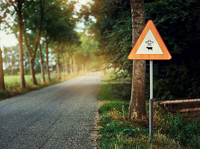 Buy stock photo Alien, spaceship sign and road in forest for UFO warning, science fiction and space abduction. Area 51, travel and signage for extraterrestrial caution in countryside, nature and street in woods