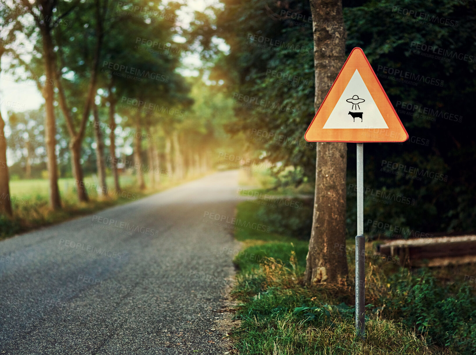 Buy stock photo Alien, spaceship sign and road in forest for UFO warning, science fiction and space abduction. Area 51, travel and signage for extraterrestrial caution in countryside, nature and street in woods