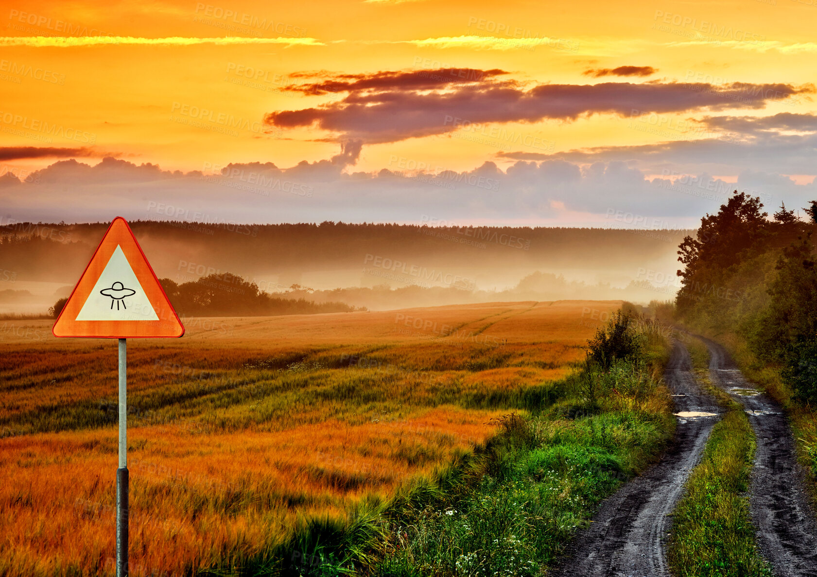 Buy stock photo Alien, spaceship sign and road in nature for UFO warning, science fiction and space abduction. Area 51, travel and signage for extraterrestrial caution in countryside, meadow and natural landscape 