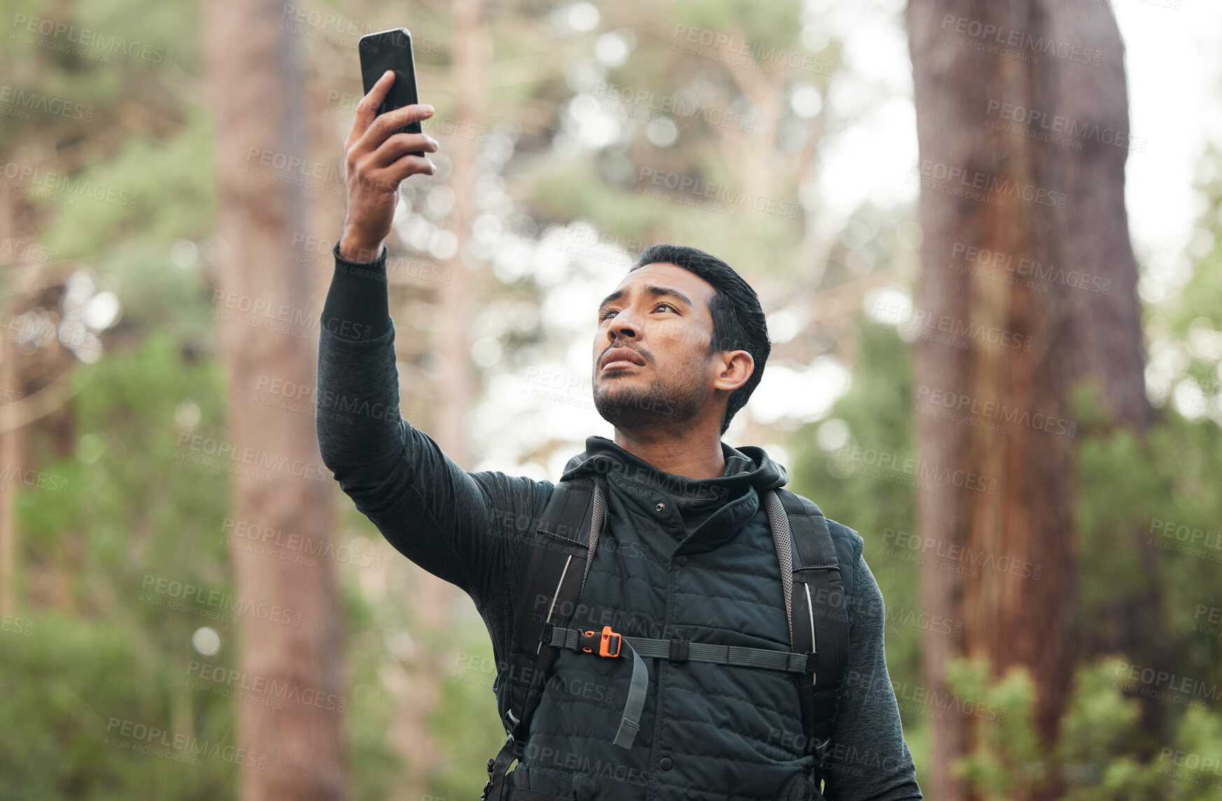 Buy stock photo Phone, connection and man lost in nature for hiking, trekking and exercise in woods. Fitness, travel and person on smartphone with no signal for GPS, online location and digital map on adventure