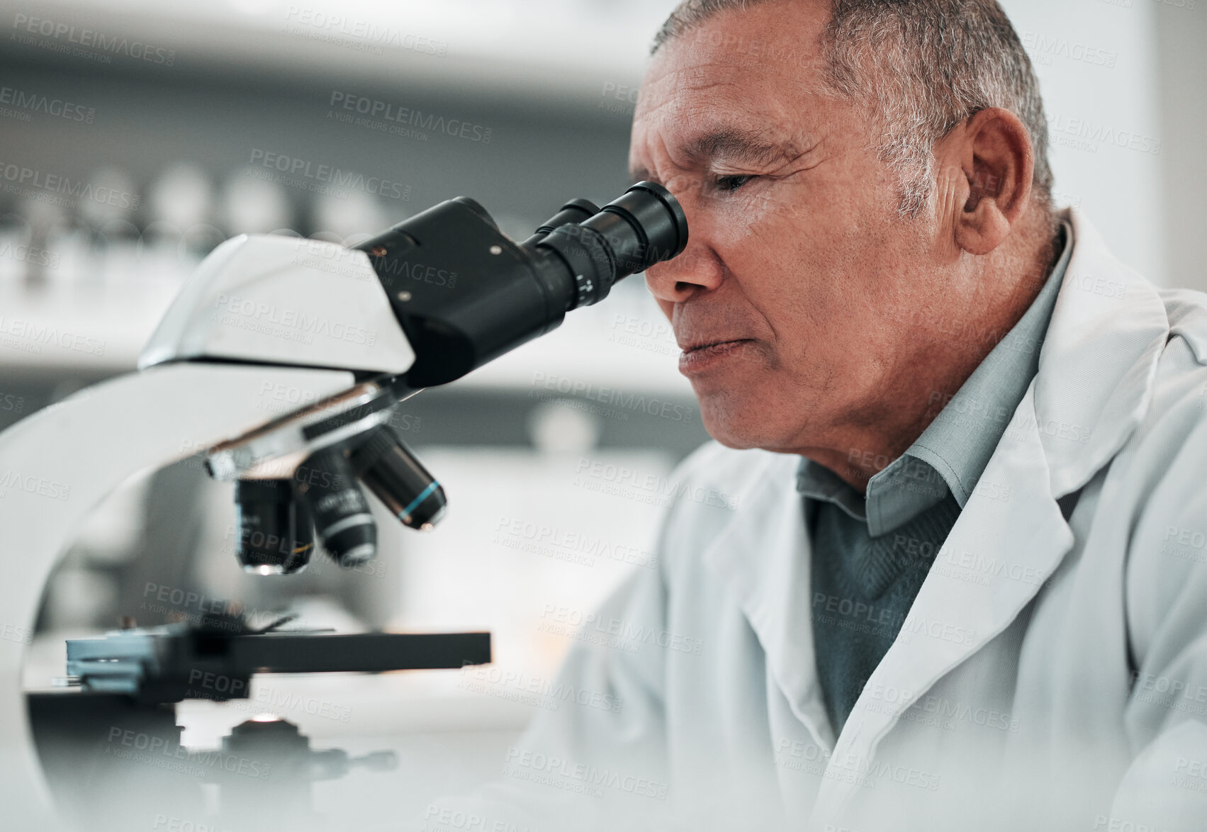 Buy stock photo Microscope, senior man or chemistry with research, medical or data analysis with pathology. Mature person, scientist or researcher with laboratory equipment, check sample or analytics with healthcare