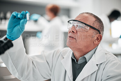 Buy stock photo Scientist, man and microscope slide in research, vaccine analysis or data in medical or healthcare laboratory. Science  expert with glasses or ppe for virus solution, molecule exam or check particles