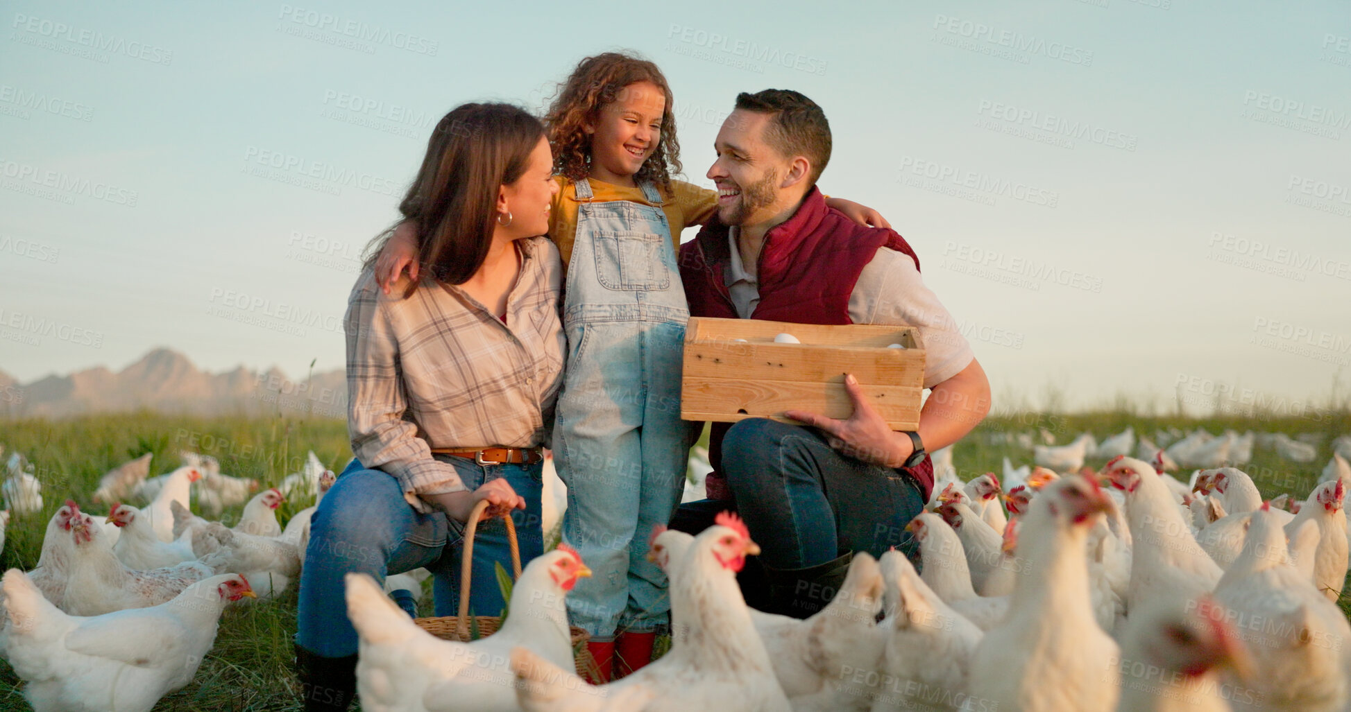 Buy stock photo Parents, girl and hug with chicken, farm and happy with box for food, sustainability and talk in sunshine. Father, mother and daughter with poultry, countryside and environment with smile for birds