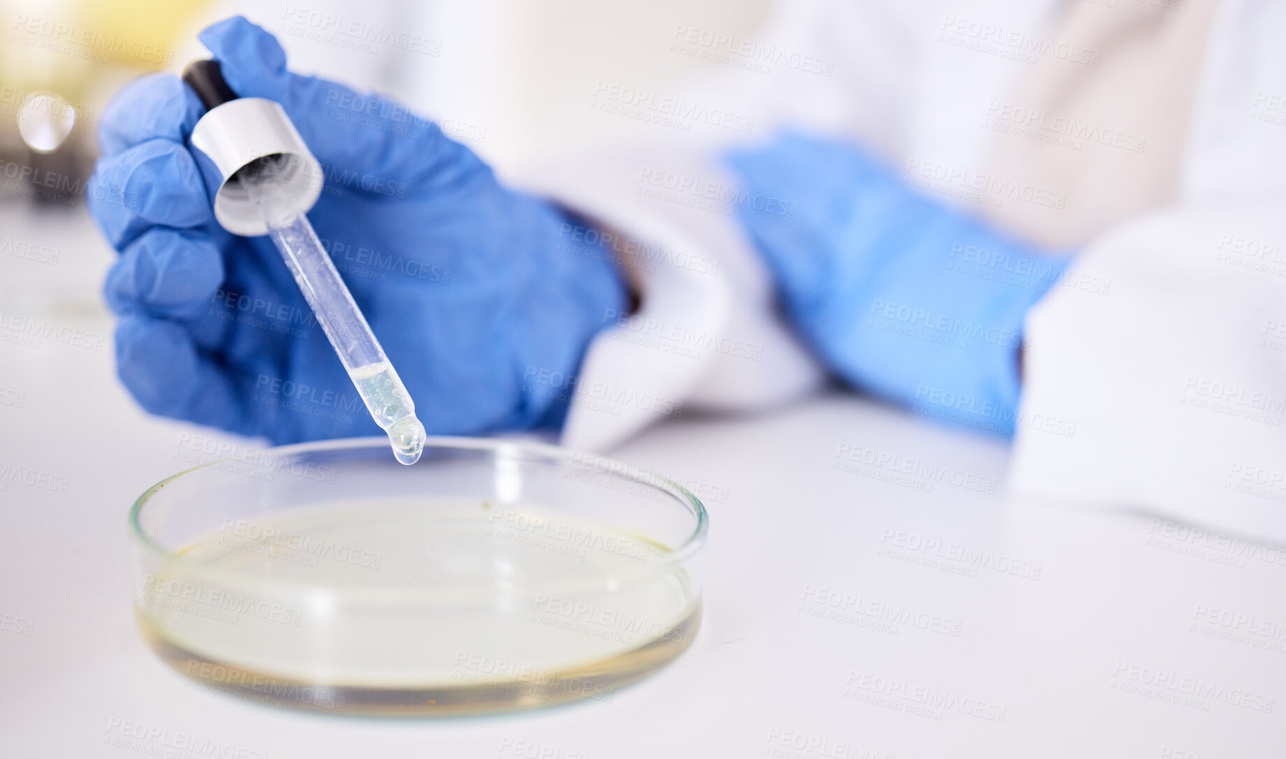 Buy stock photo Petri dish, hand and pipette for medical science research, medicine pharmacy or dna engineering with ppe in laboratory. Person, scientist and equipment in healthcare test or future vaccine innovation