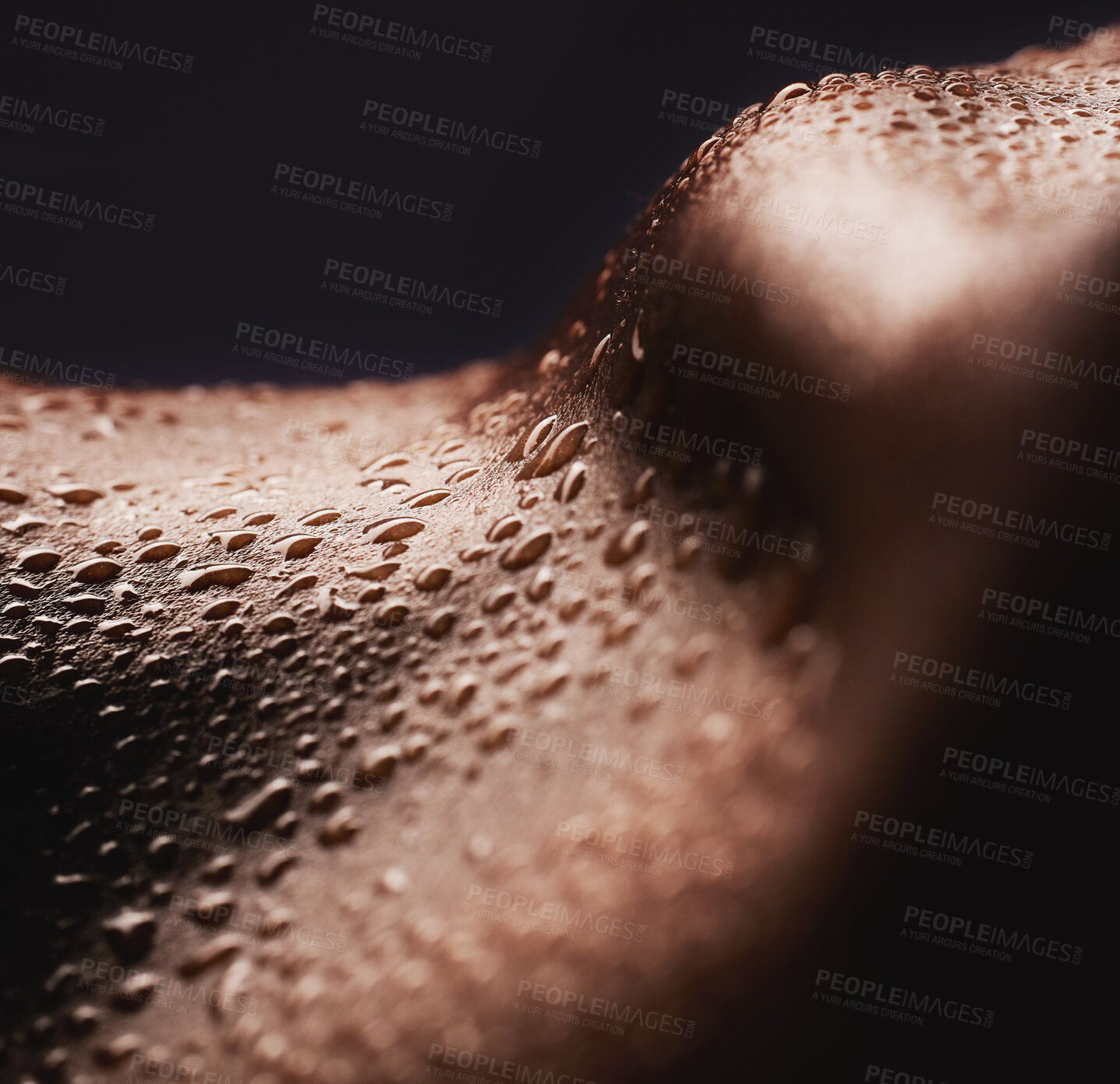 Buy stock photo Skin, water drops and texture or body of a person for dermatology, skincare and hygiene. Zoom on aesthetic model for art deco, human and sweat with droplets, creative and wellness on black background