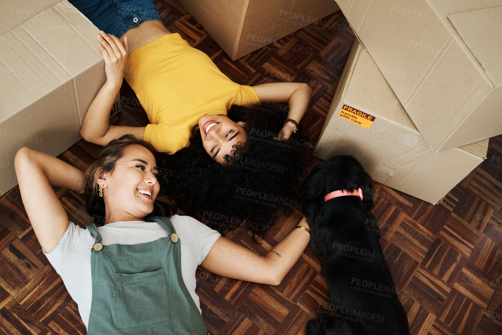 Buy stock photo Lesbian couple, moving and boxes on floor with dog in home, living room or lgbt people relax together with puppy or pet. Love and happiness in new house or above women with animal or property