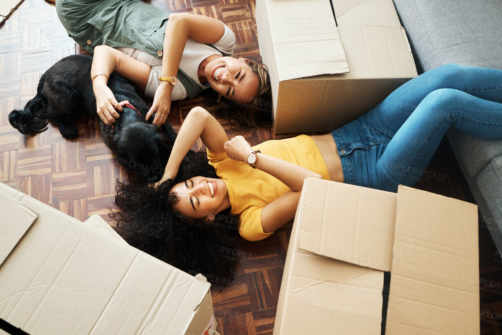 Buy stock photo Moving, boxes and couple with a dog in new home, living room or women relax together on floor bonding with puppy or pet. Girls, laughing and happiness in house with people, love and animal from above