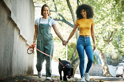 Buy stock photo Smile, holding hands and lesbian couple walking with dog in city street for exercise, bonding and fun. Love, animal and interracial young lgbtq women in town road with puppy for fresh air together.