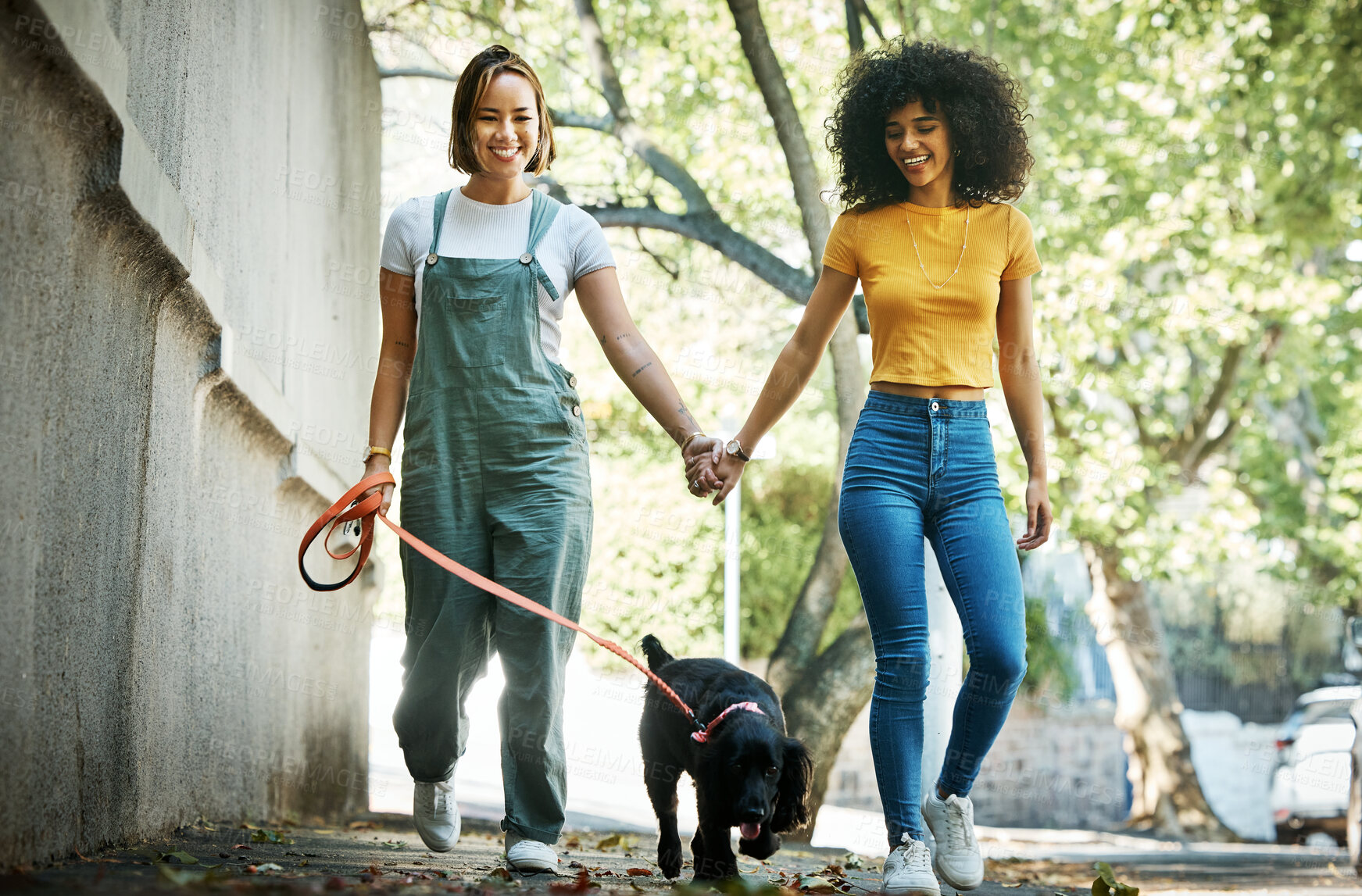 Buy stock photo Smile, holding hands and lesbian couple walking with dog in city street for exercise, bonding and fun. Love, animal and interracial young lgbtq women in town road with puppy for fresh air together.