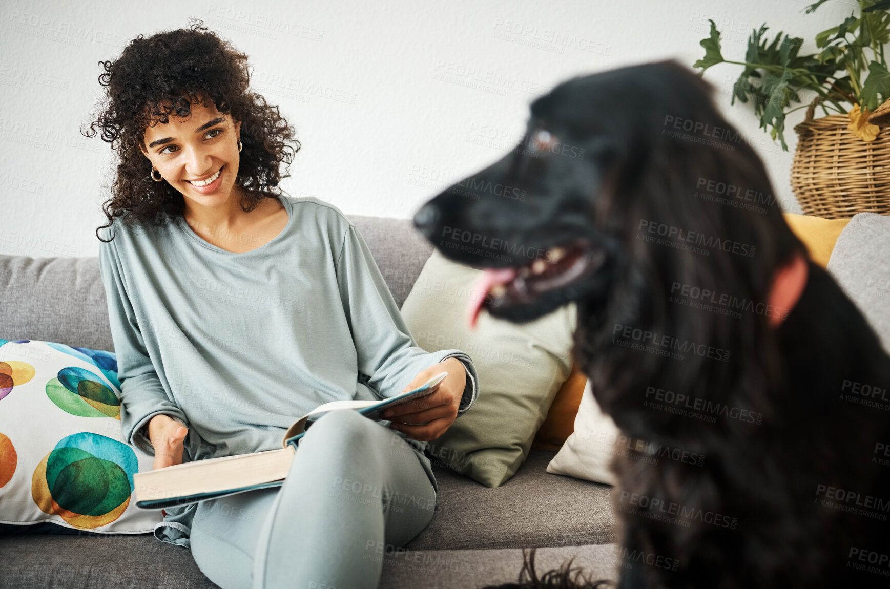 Buy stock photo Reading a book, dog and a woman on home sofa to relax with animal in a living room. Pet owner, happiness and a young person on a couch with love, care and wellness or friendship in a cozy apartment