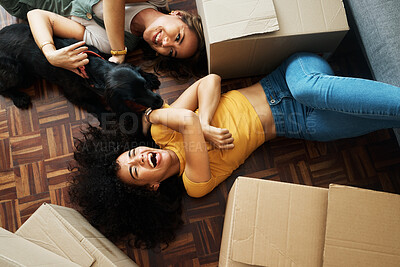 Buy stock photo Moving, boxes and couple with a dog in new home, living room or women relax together on floor bonding with puppy or pet. Girl, laughing and happiness in house with people, love and animal from above