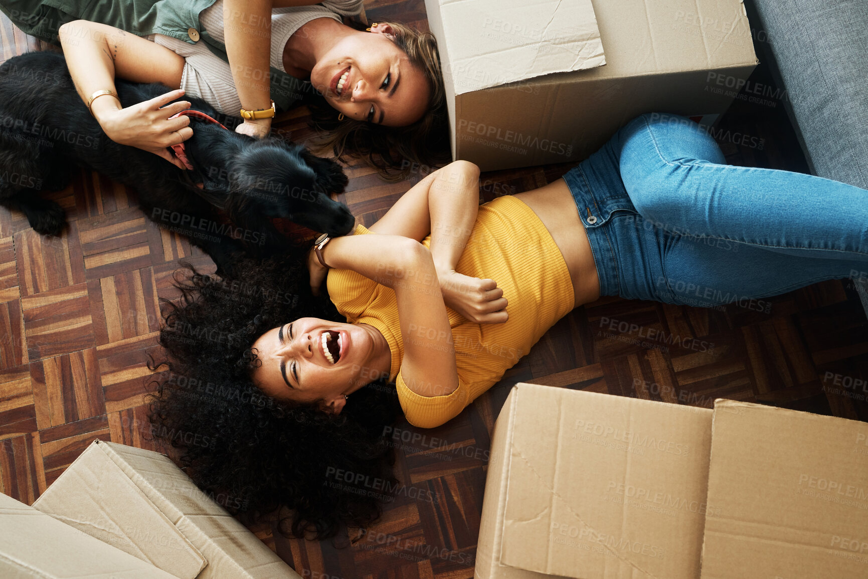 Buy stock photo Moving, boxes and couple with a dog in new home, living room or women relax together on floor bonding with puppy or pet. Girl, laughing and happiness in house with people, love and animal from above