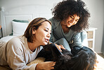 Dog, bed and happy lesbian couple play in home, morning and relax together. Pet, bedroom and gay women smile with animal, bonding and having fun in healthy relationship, connection and interracial