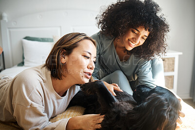 Buy stock photo Dog, bed and happy lesbian couple play in home, morning and relax together. Pet, bedroom and gay women smile with animal, bonding and having fun in healthy relationship, connection and interracial