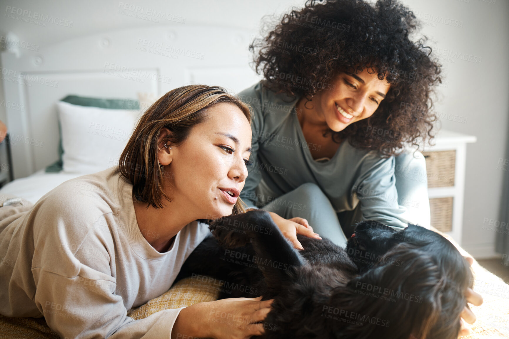 Buy stock photo Dog, bed and happy lesbian couple play in home, morning and relax together. Pet, bedroom and gay women smile with animal, bonding and having fun in healthy relationship, connection and interracial