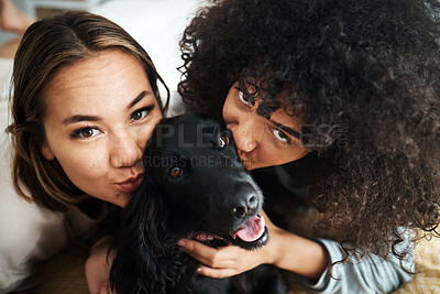 Buy stock photo Dog, portrait and women with kiss on sofa in living room of home for puppy, love and happiness indoor. Labrador, animal and people together on couch with cuddling and care for bonding and loyalty