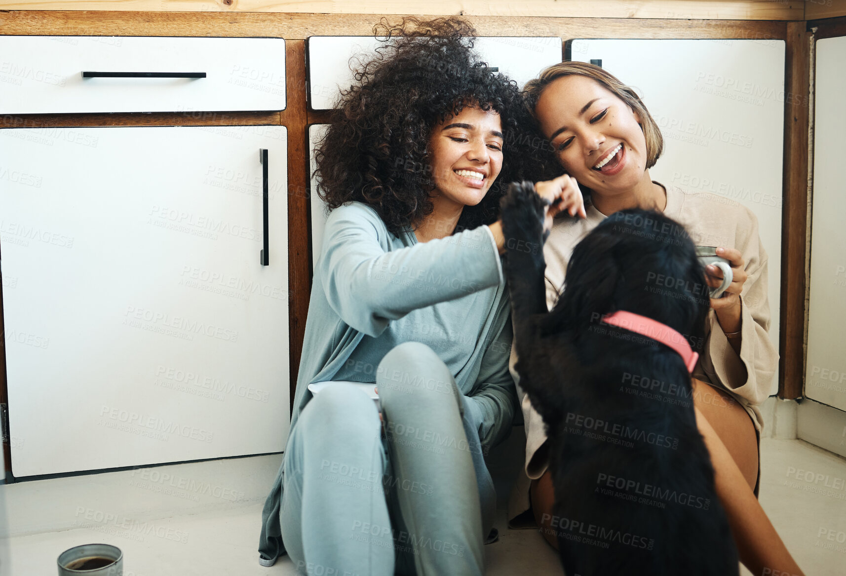 Buy stock photo Happy, couple or friends with dog in kitchen, home or relax with coffee, drink and eating breakfast on the floor of apartment. Women, playing and pet or animal in house with love and care for puppy