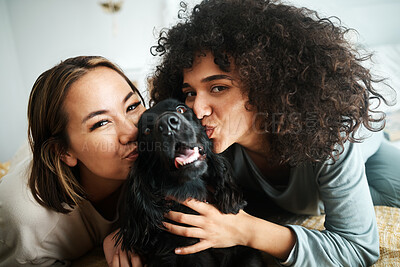 Buy stock photo Women, portrait and dog with kiss on sofa in living room of home for puppy, love and happiness indoor. Cocker spaniel, animal and people together on couch with cuddling and care for bond and loyalty