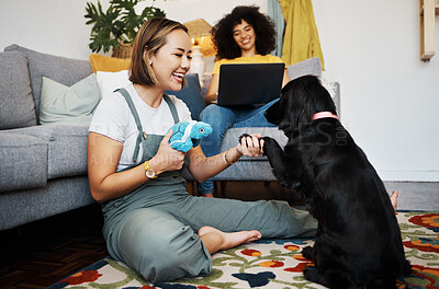 Buy stock photo Home, lesbian or happy couple with dog in house living room on floor to relax with paw trick, loyalty or love. Teaching pet, handshake or woman playing with her animal with care, support or smile