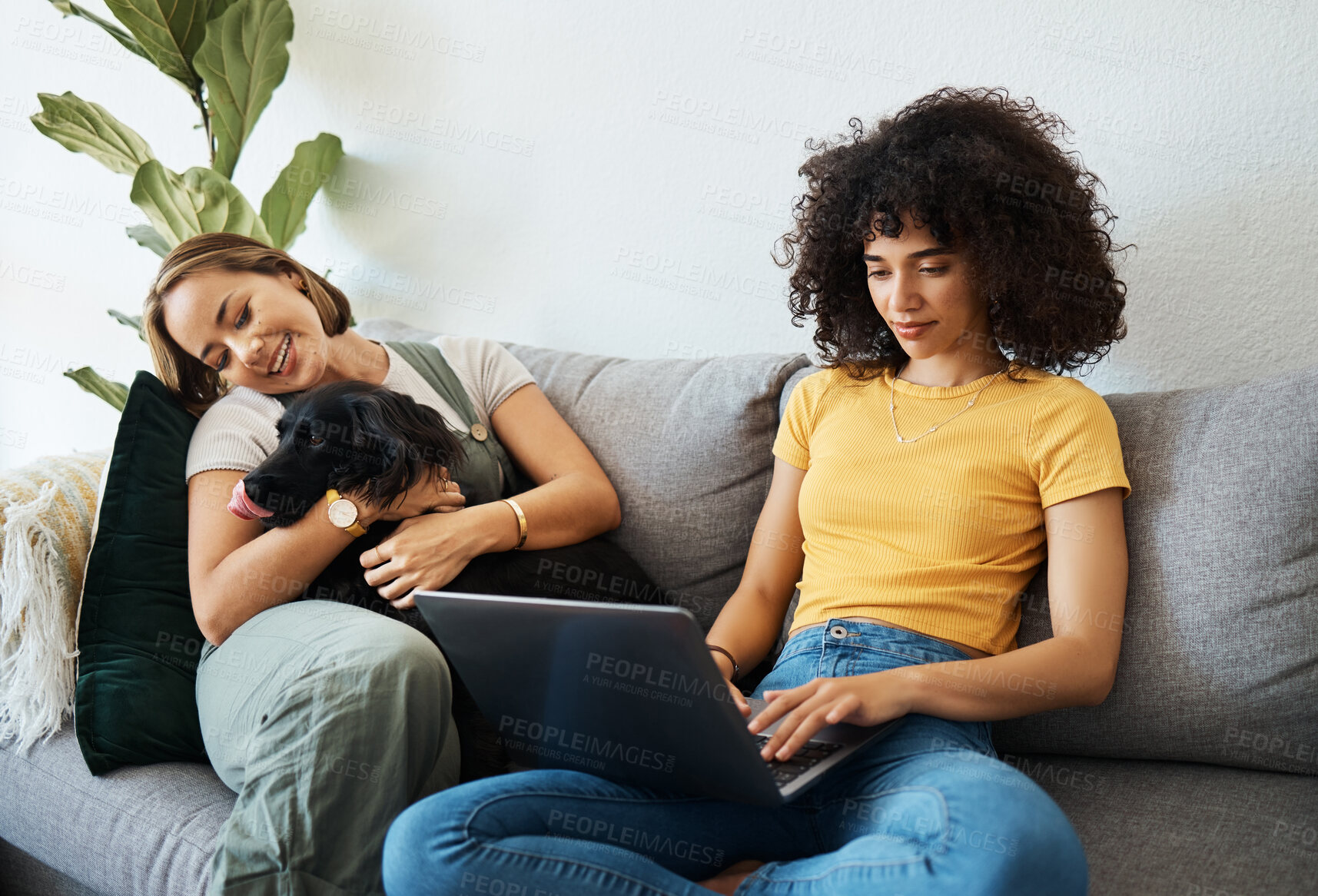 Buy stock photo Dog, laptop or lesbian couple in home to relax together in healthy relationship or love connection. Lgbtq, online or gay women with a pet animal to hug or bond on living room sofa for remote work