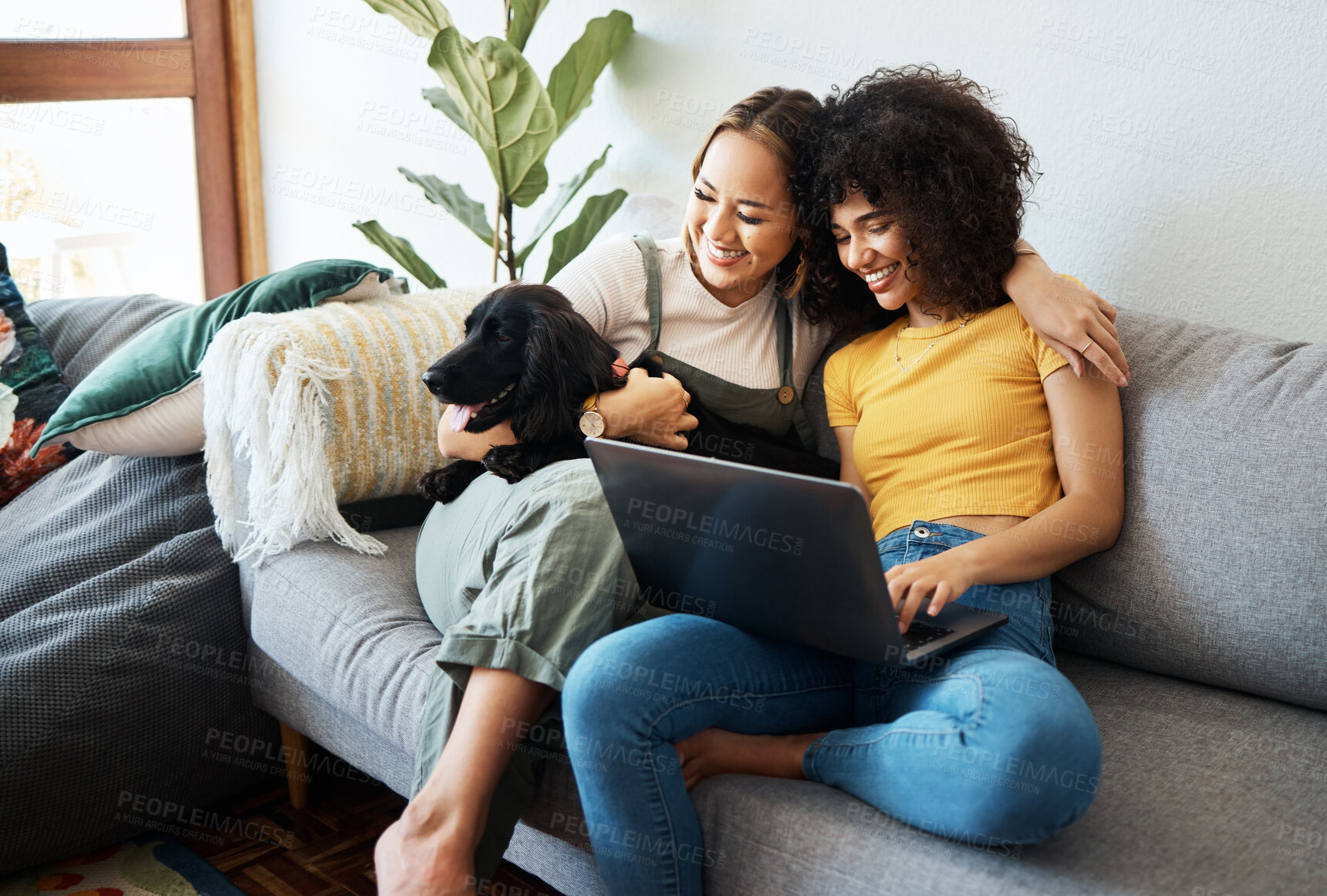 Buy stock photo Dog, laptop or gay couple hug on sofa to relax together in healthy relationship love connection. Lgbtq, home or happy lesbian women with a pet animal to bond on living room couch for remote work