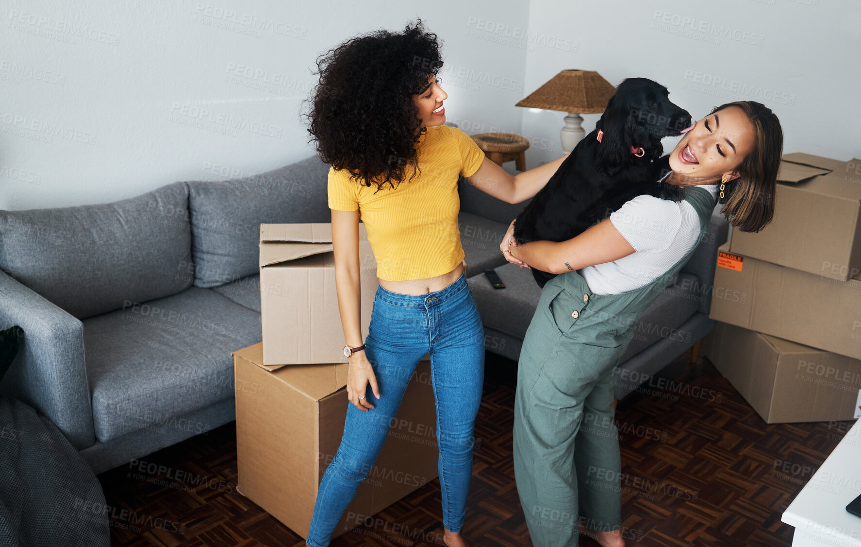 Buy stock photo Dog, smile and gay couple in new home, play and bonding together in living room. Happy lesbian women with pet in house, apartment and moving in to real estate property, having fun and carrying animal