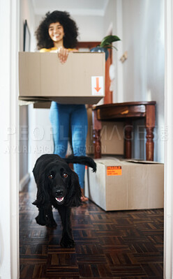 Buy stock photo New house, moving in and woman with box, dog and  smile in real estate, property or dream home. Mortgage, animal and lady homeowner with excited puppy in pet friendly apartment or investment