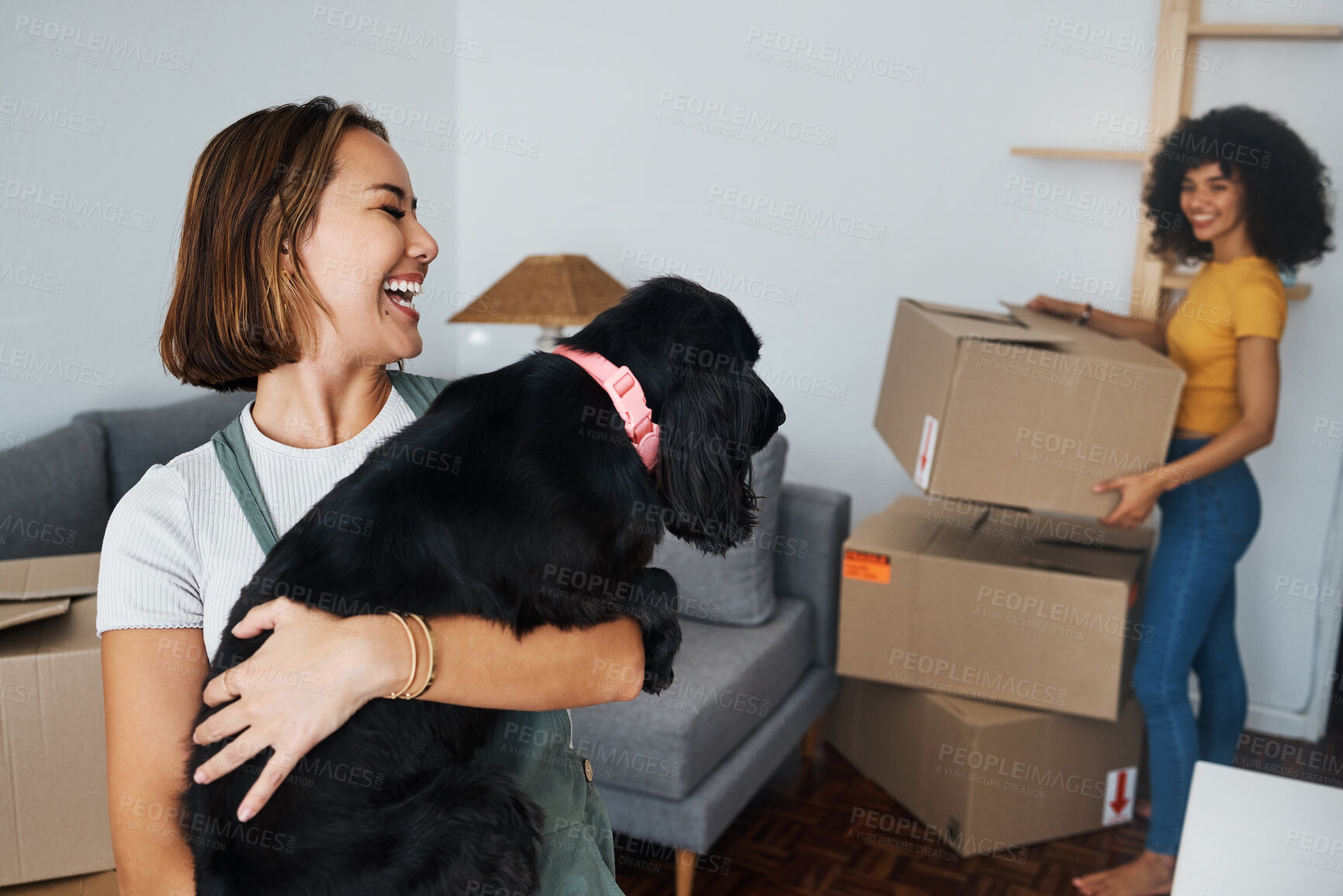 Buy stock photo Dog, lesbian couple and new real estate, funny and bonding together in living room. Happy gay women with pet in house, apartment and moving in to property home, laughing and playing with animal