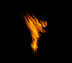 Flame, heat and light on black background with color texture and pattern of burning energy. Fire line, fuel and flare isolated on dark wallpaper design, explosion at bonfire, thermal power or inferno