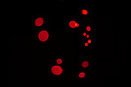 Bokeh, red particles and lights on black background with pattern, texture and mockup with cosmic aesthetic. Night lighting, sparkle dots and glow on dark wallpaper with space, color shine and flare.