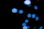 Bokeh, blue dots and dark background with glow or sparkle, mockup space with light, texture and flare from festival. Glitter, art and texture with graphic design, special effects on black backdrop 