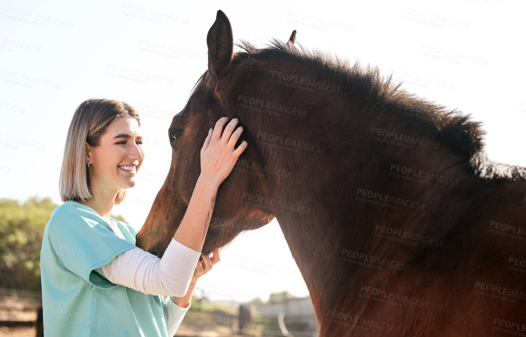 Buy stock photo Veterinary, doctor and woman for horse for medical examination, research and health check. Healthcare, nurse and happy person on farm for inspection, wellness and animal care treatment on ranch