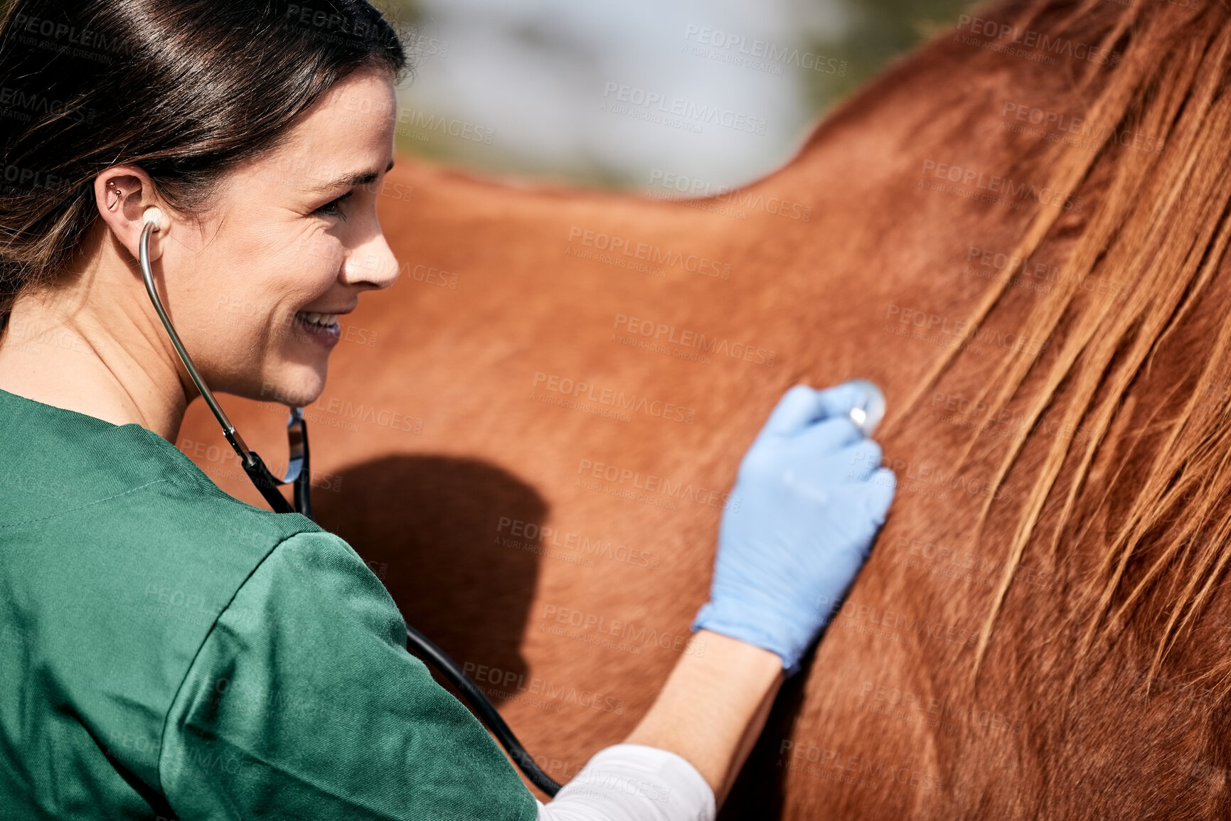 Buy stock photo Vet, stethoscope and horse farm with wellness, healthcare and support with animal in countryside. Nurse, woman and helping with heart rate and monitoring outdoor with a smile and happy from nursing