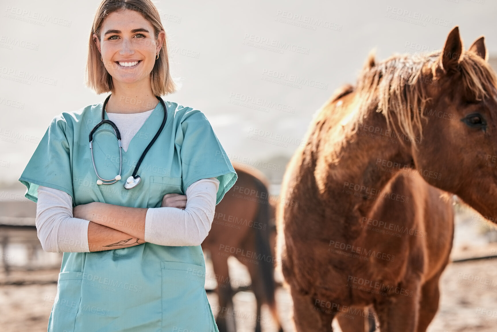 Buy stock photo Horse doctor, portrait and woman with smile outdoor at farm for health, care or happy for love, animal or nature. Vet, nurse and equine healthcare expert in sunshine, countryside or help for wellness