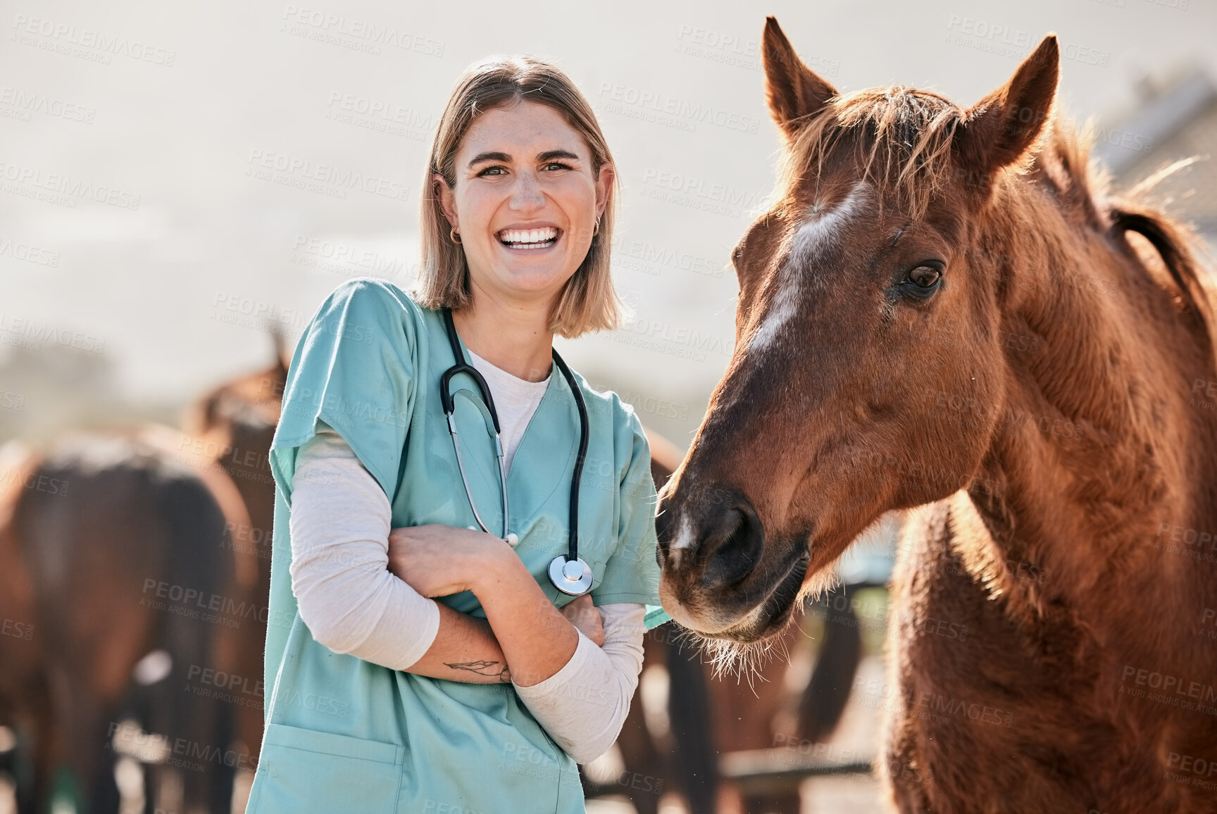 Buy stock photo Happy horse doctor, portrait and woman at farm with arms crossed, care or smile for love, animal or nature. Vet, nurse and equine healthcare expert in sunshine, countryside and helping for wellness