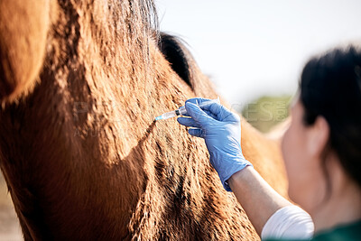 Vet, doctor and woman with injection for horse for medical examination, animal care and health check. Healthcare, needle and person on farm for inspection, wellness and veterinary treatment on ranch