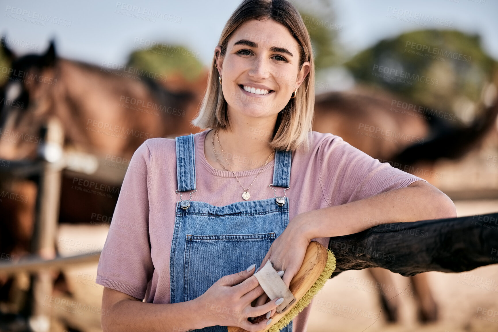 Buy stock photo Horse, portrait and woman with brush on ranch for animal, farm pet and grooming in countryside. Farming, cleaning and person with stallion for brushing mane for wellness, healthy livestock and care