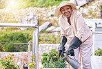 Water, plants and old woman outdoor gardening with flowers, sun and happiness in backyard nature. Happy, senior or elderly farmer with care for vegetables or agriculture greenery in house environment