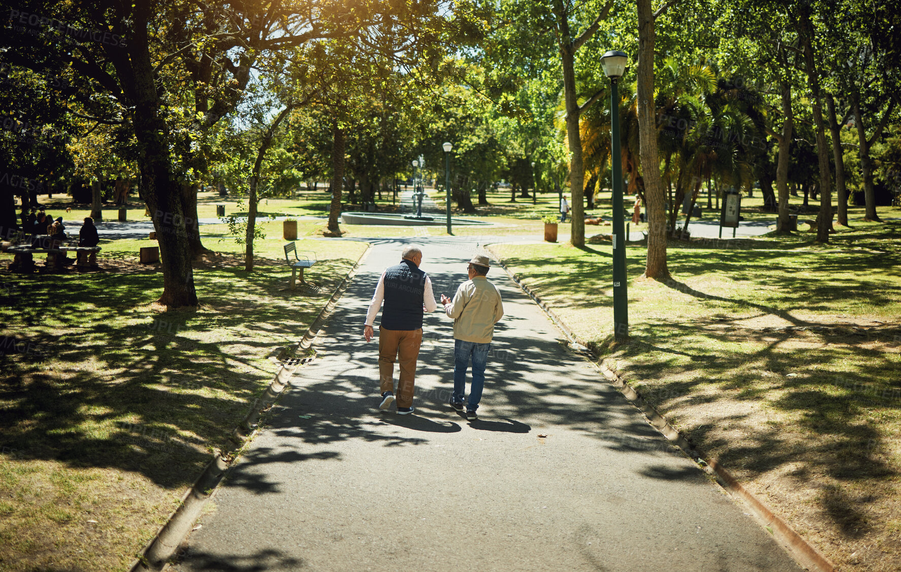 Buy stock photo Friends, men walking and talking in park, nature and outdoor in retirement with support and communication. Social, people and above path on sidewalk in New York with conversation and community