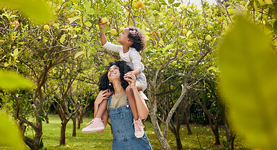 Buy stock photo Woman with kid, lemon orchard and piggyback in nature, agriculture with healthy food and nutrition on citrus farm. Farmer, mother and daughter time picking fruit and happiness, harvest and bonding