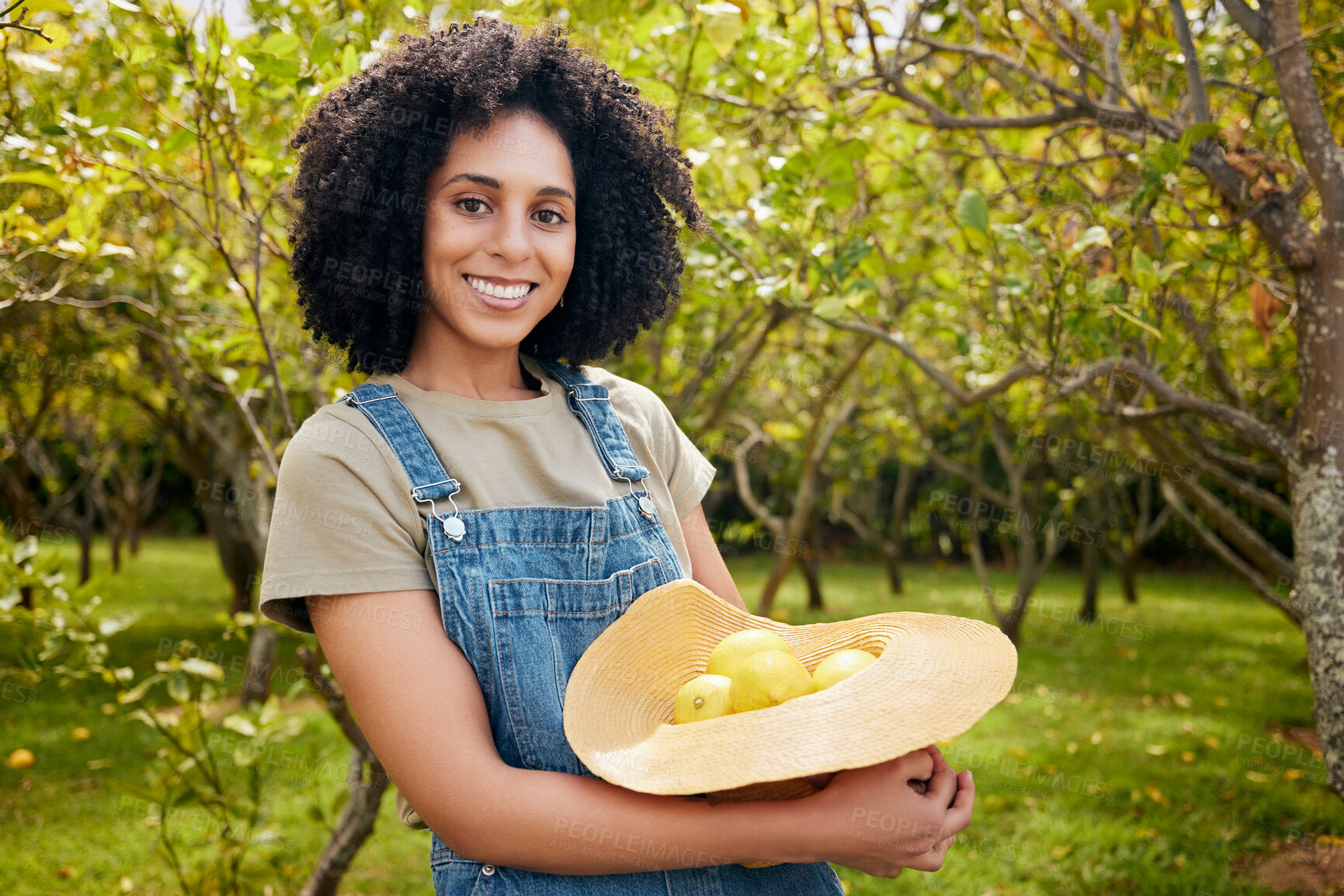 Buy stock photo Woman in orchard, nature and agriculture with lemon in portrait, healthy food and nutrition with citrus farm outdoor. Farmer, picking fruit and smile with harvest, sustainability and organic product